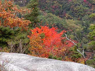 乳房岩からの紅葉